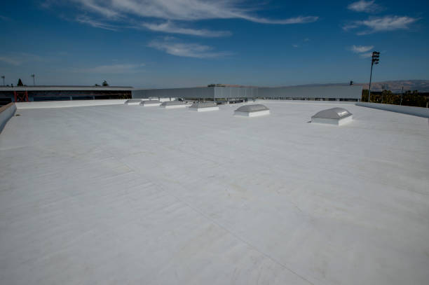 Best Commercial Roofing Services  in Millbury, OH