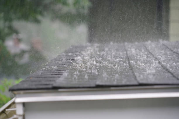 Best Gutter Installation and Repair  in Millbury, OH